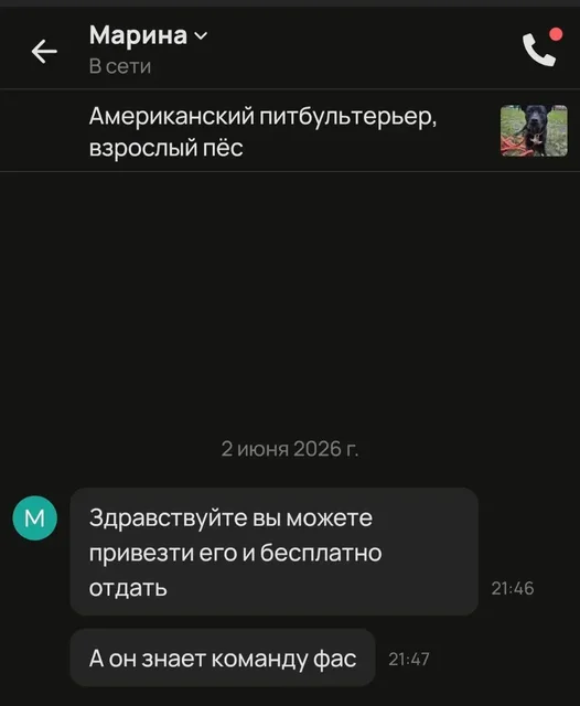 Внимание: Осторожно с пристройством собак - частное объявление в Саратов