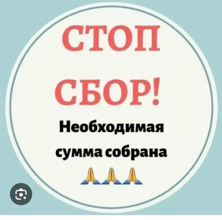 Сбор средств на передержку собаки Найды - Передержка животных (Животные) в Саратов