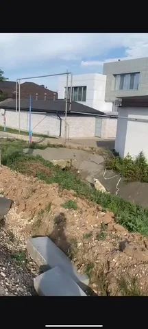 Собака в Энгельсе нуждается в помощи - частное объявление в Энгельс