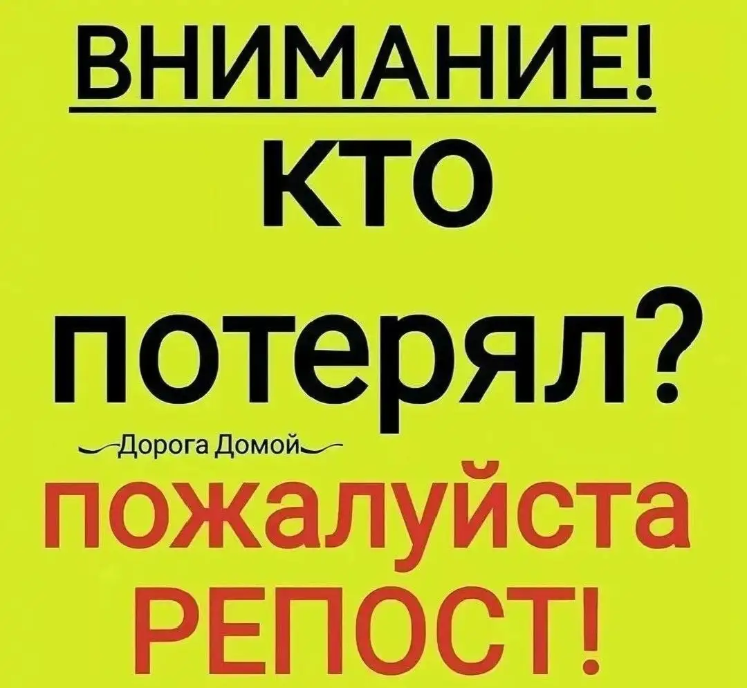 Потеряшка в подъезде: ищу хозяина - Потеряшки (Животные) в Энгельс