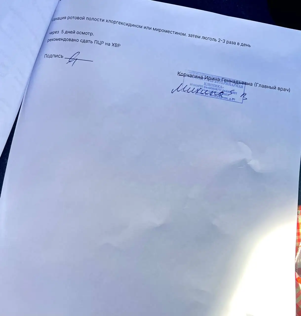Сбор на лечение Рыжика - Сбор средств на лечение животных (Животные) в Саратов