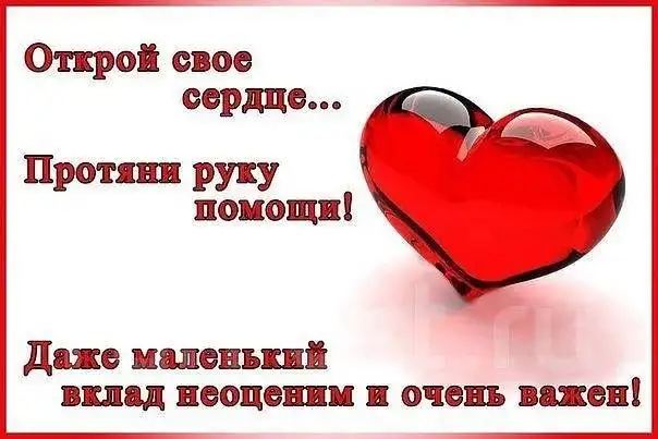 Поиск финкураторов для кота Фокса с ВЛК - Животные в Саратов