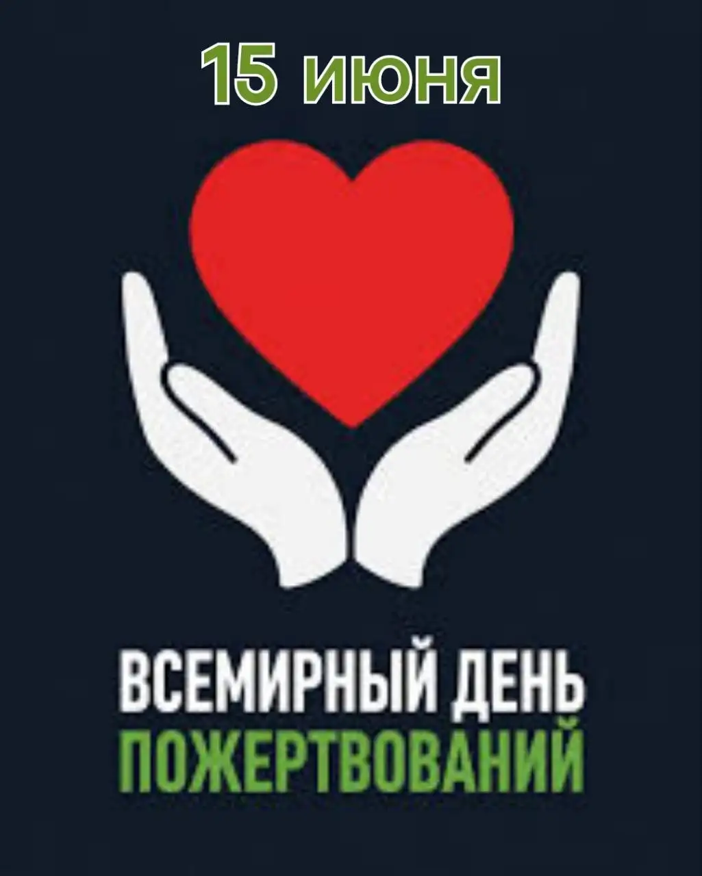 Помощь животным - Животные в Саратов