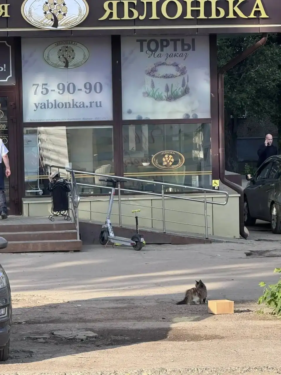 Потерялось животное в районе 1 Дачной, Саратов - Животные в Саратов