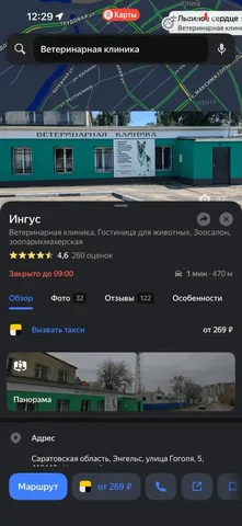 Потеряшка - Самая ближайшая Ингус - частное объявление в Саратов