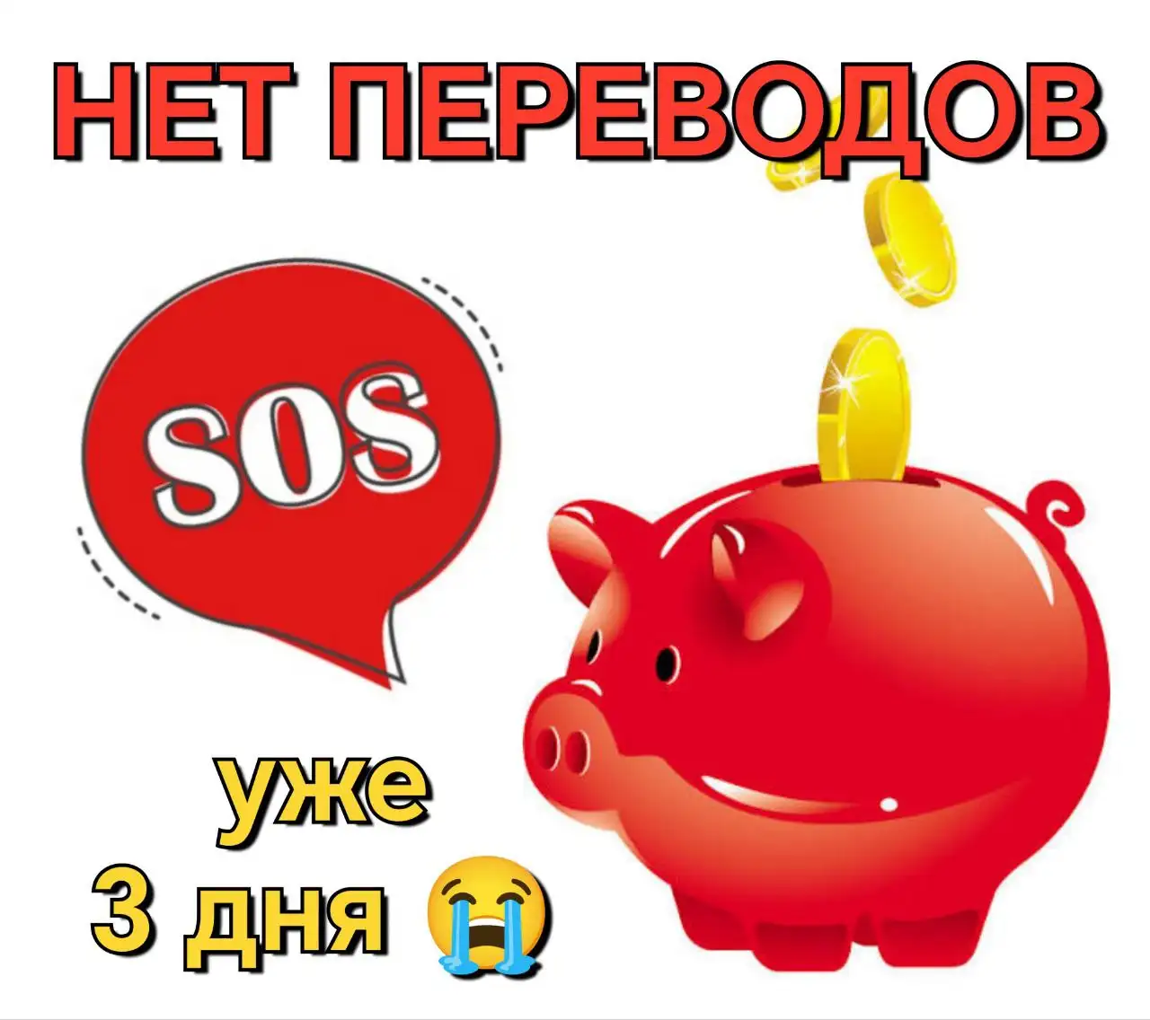 Потеряшка: кот или собака - Животные в Саратов