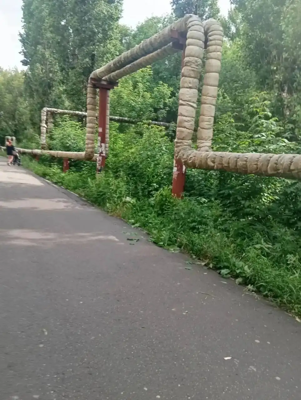 Срочная помощь коту рядом с Миллеровской 15А - Животные в Саратов