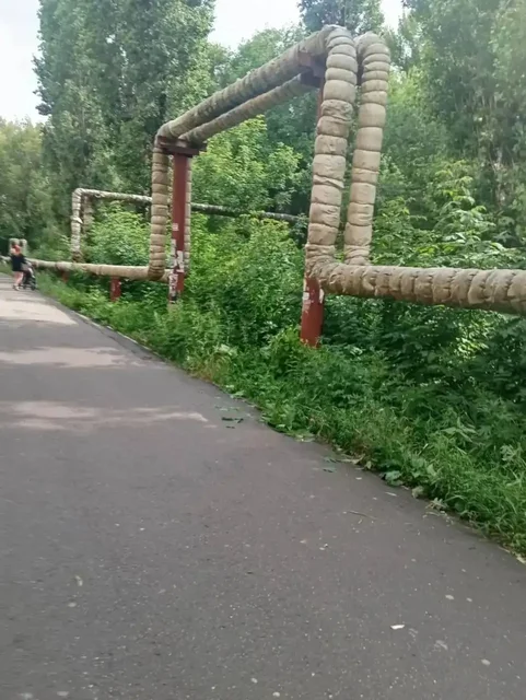 Срочная помощь коту рядом с Миллеровской 15А - частное объявление в Саратов