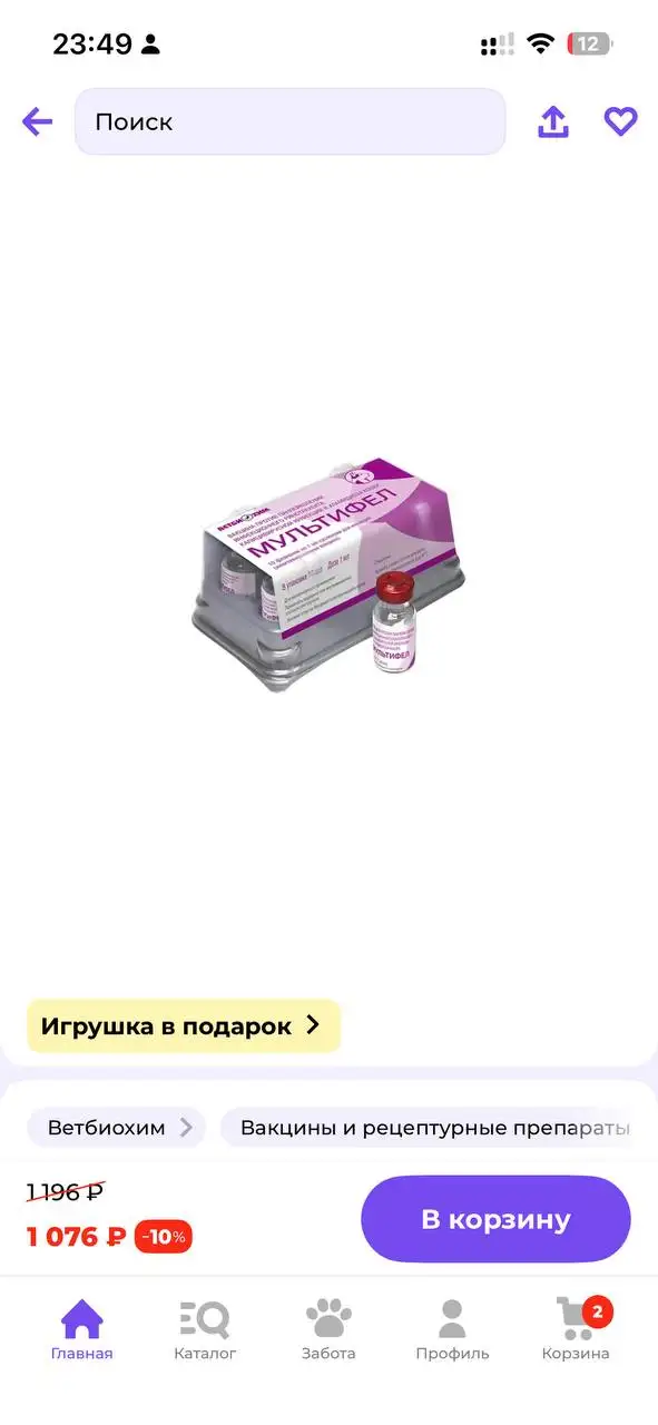 Финансовая помощь для кота Рыжика: передержка и прививка - Животные в Саратов