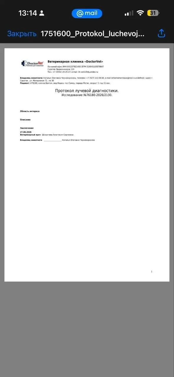 Помощь при травме позвоночника у малыша - Животные в Саратов