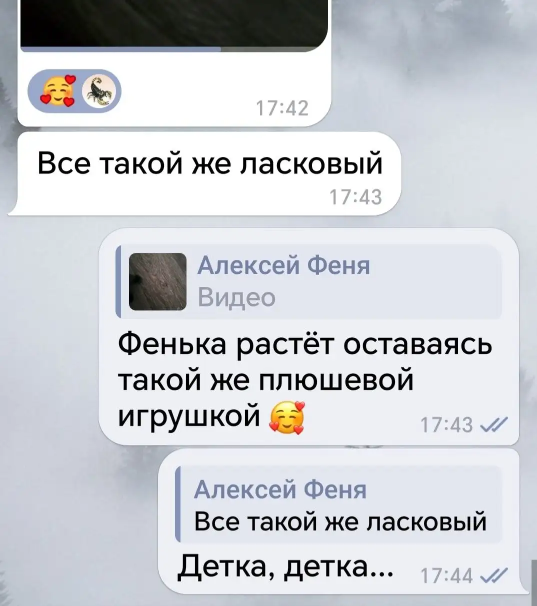 Потеряшка - кошка или собака - поиск животного в Саратов