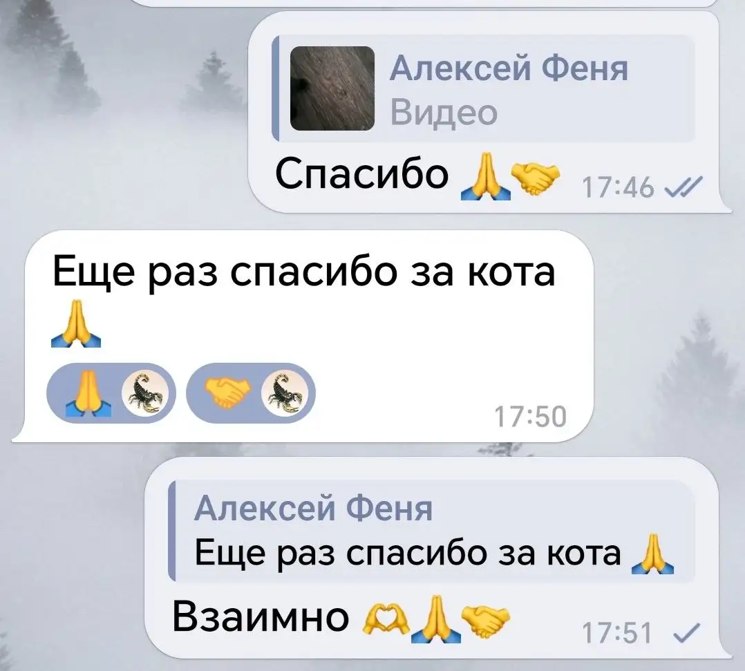 Потеряшка - кошка или собака - Потеряшки (Животные) в Саратов