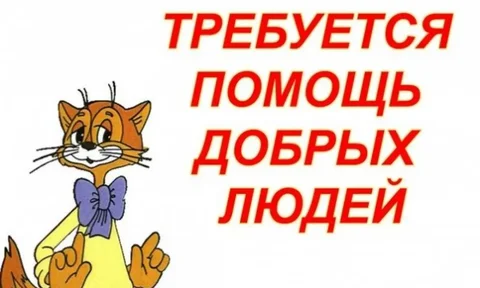 Помогите найти хозяина собаки - поиск животного в Саратов