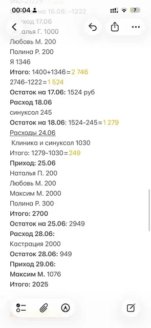 Ищем финкуратора для Рыжика - поиск животного в Саратов