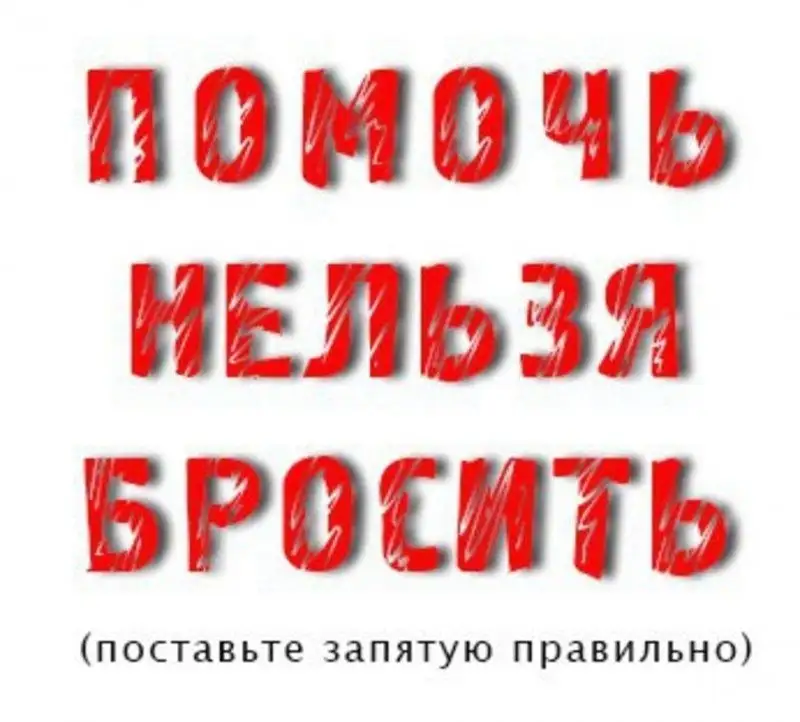 Помощь коту Болтику - Кошки (Животные) в Саратов