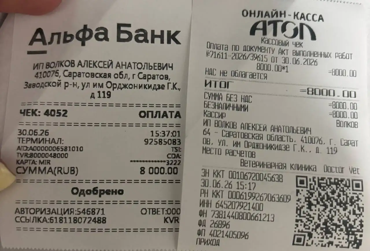 Лечение лапы Саймона завершено - Животные в Саратов