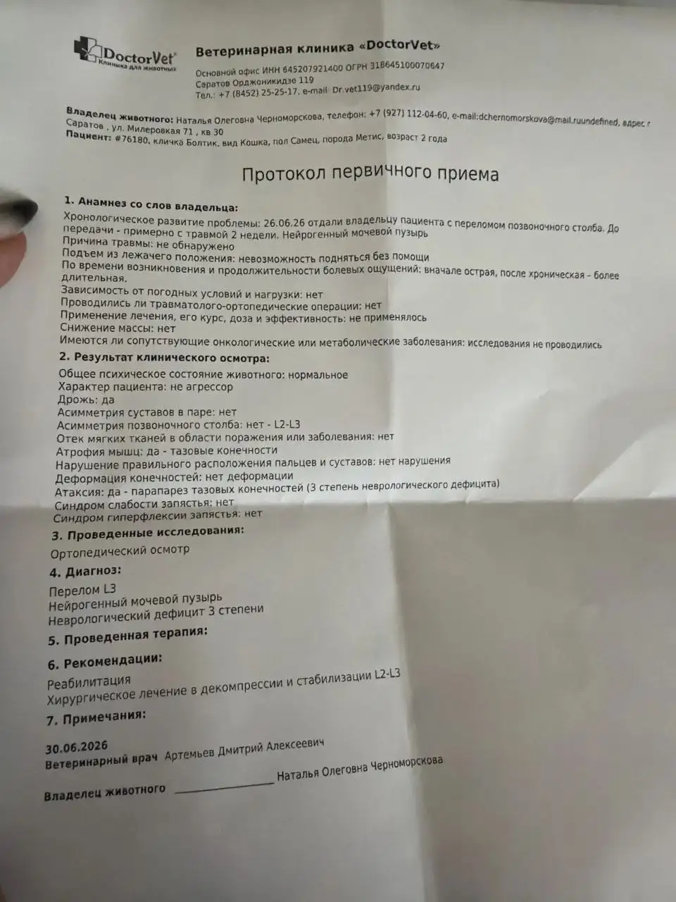 Сбор на операцию для кота Болтика - Животные в Саратов