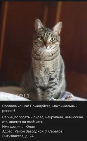 Потеряшка лесной окраc - Аксессуары для животных в Саратов