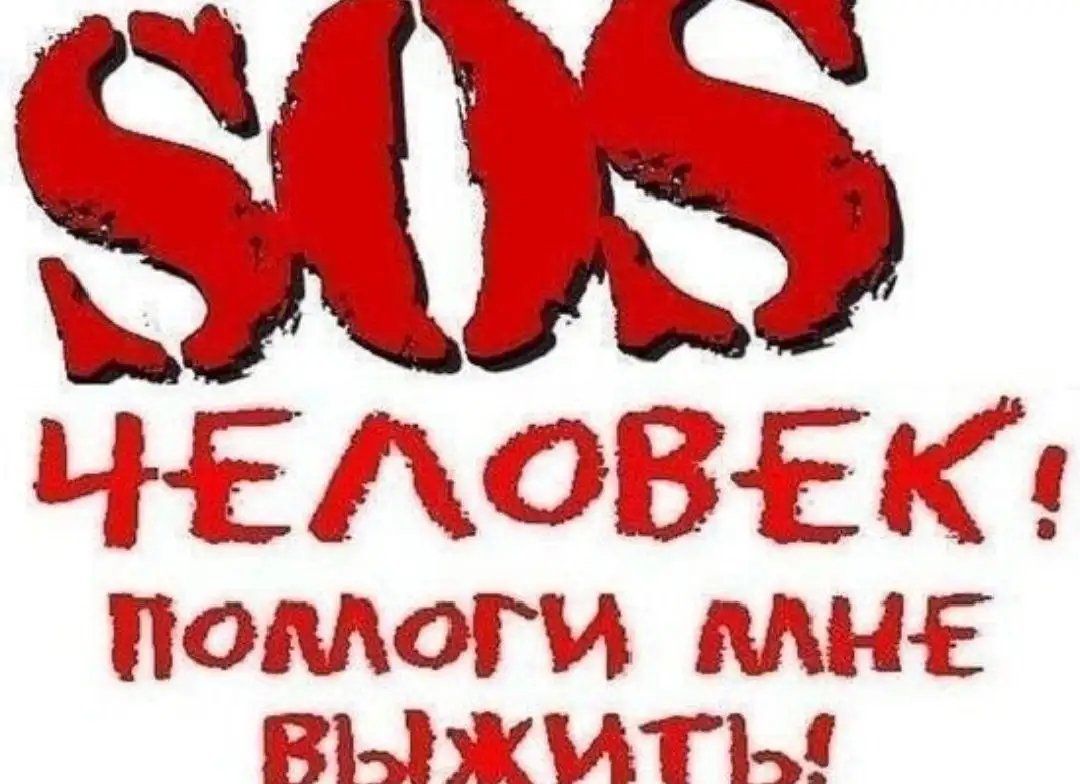 Срочно ищу дом для котенка, выброшенного на улицу - Кошки (Животные) в Саратов