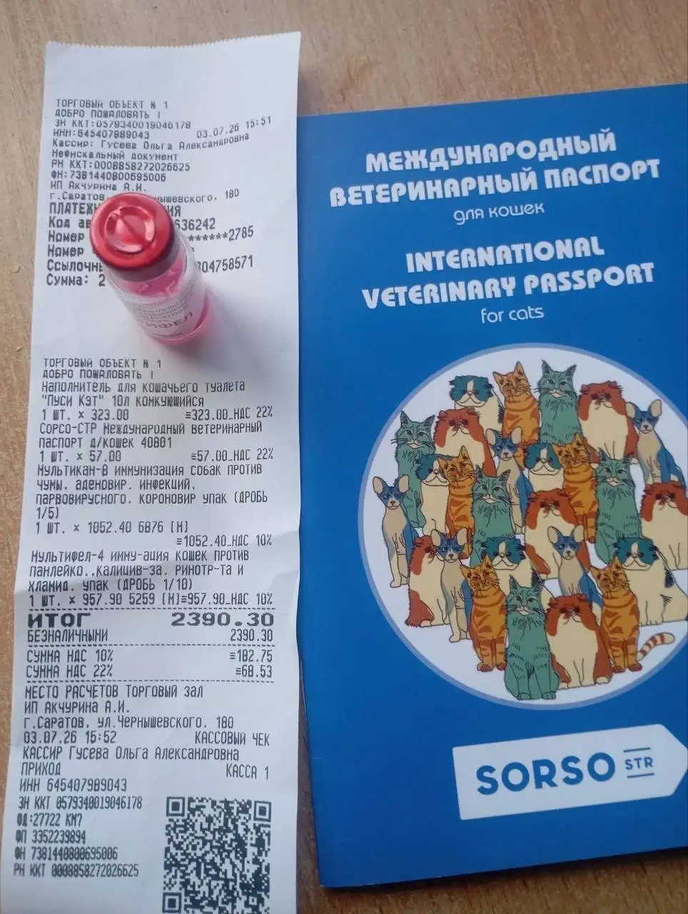 Помощь Рыжику - сбор на передержку и лечение кота - Кошки (Животные) в Саратов