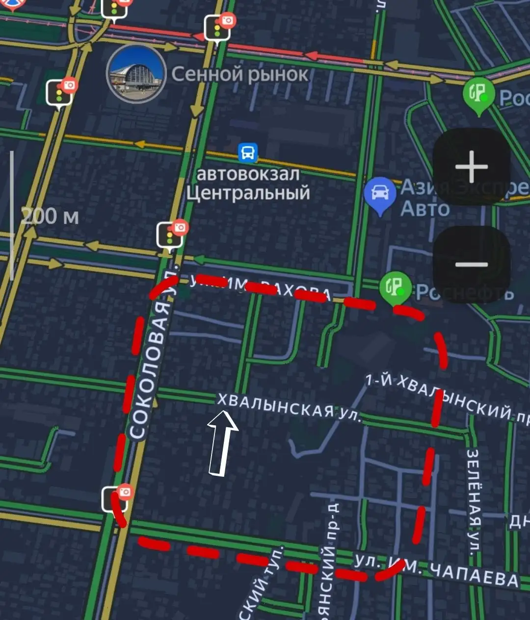 Пропала кошка, Саратов - Животные в Саратов