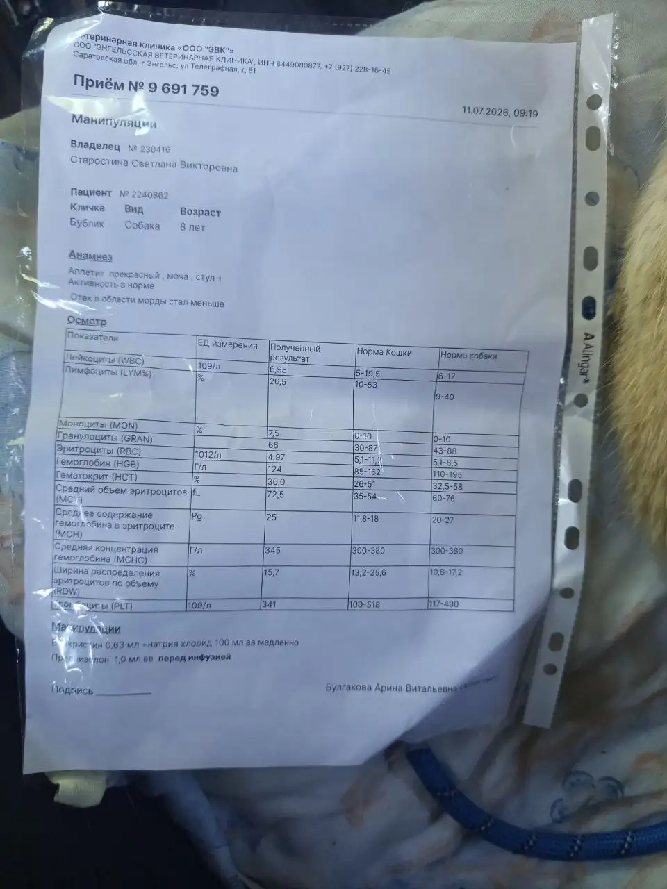 Финансовый отчет сбора средств - Барахолка в Саратов