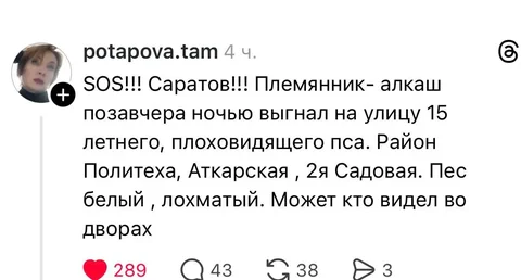 Потеряшка кошка/собака - Корма для животных в Саратов
