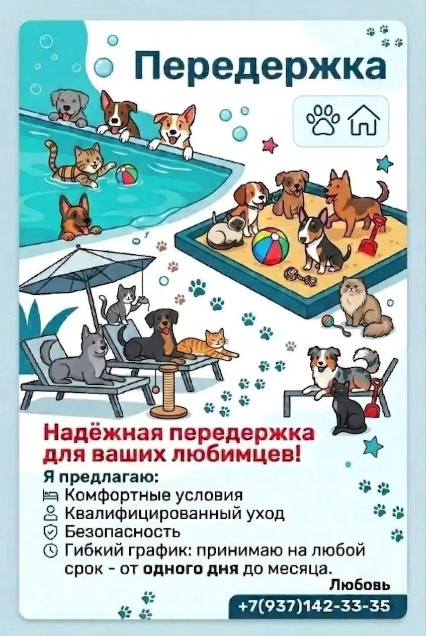 Потеряшка - Животные в Саратов