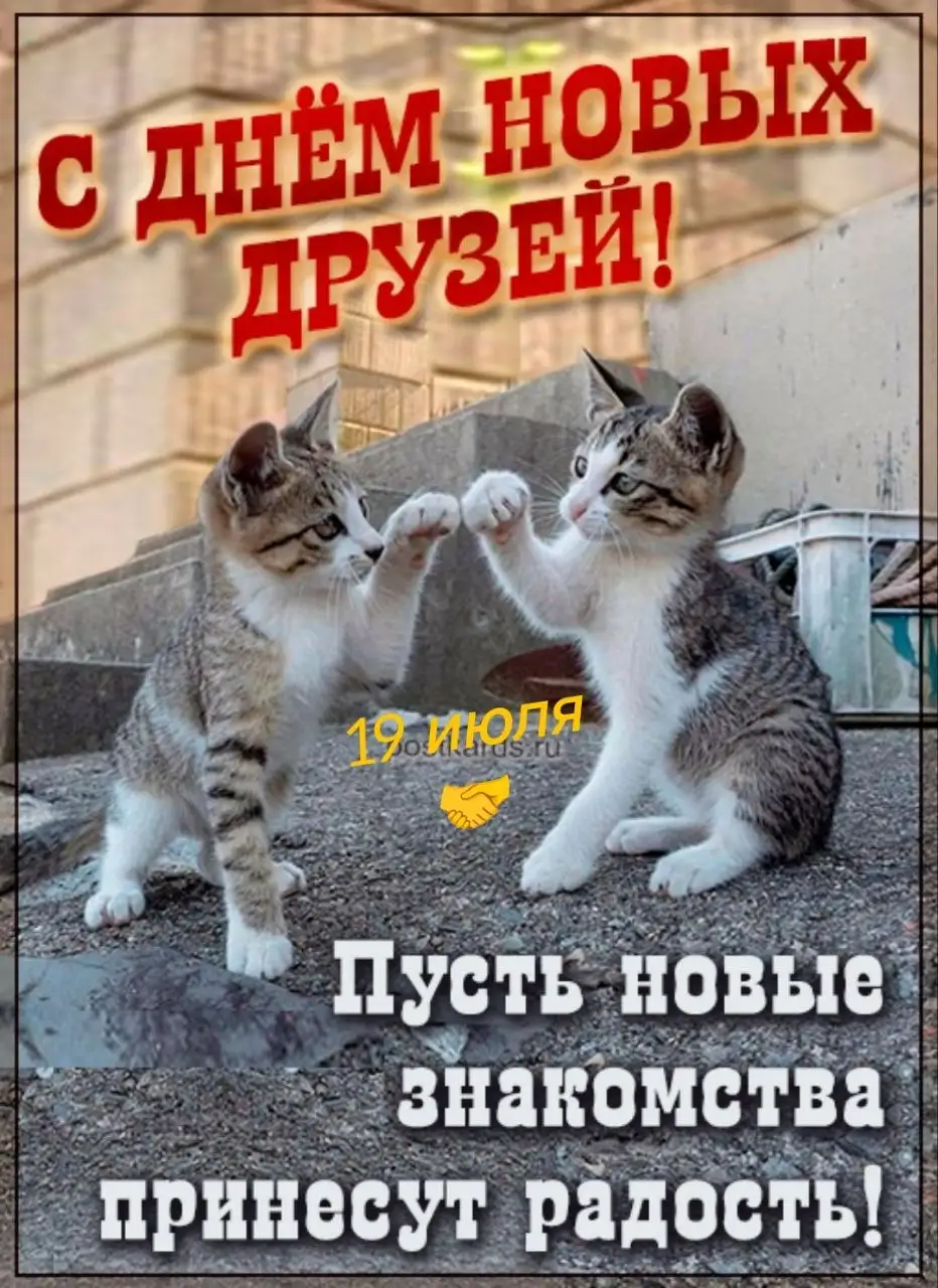 Отчёт по сбору для животных - Животные в Саратов