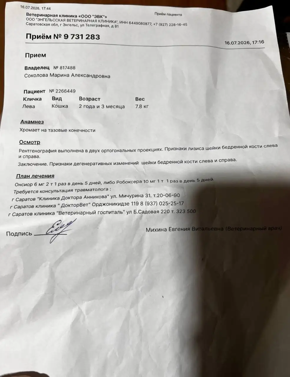 Левушка на протезирование суставов - Животные в Самара