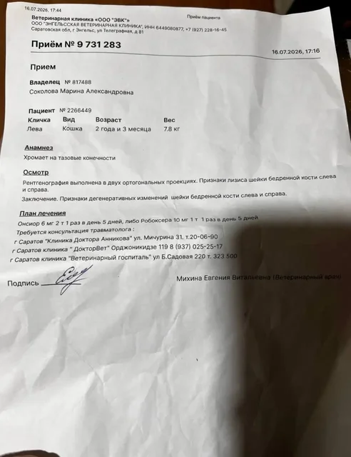 Сбор на протезирование лапок Левушке - Передержка животных в Самара