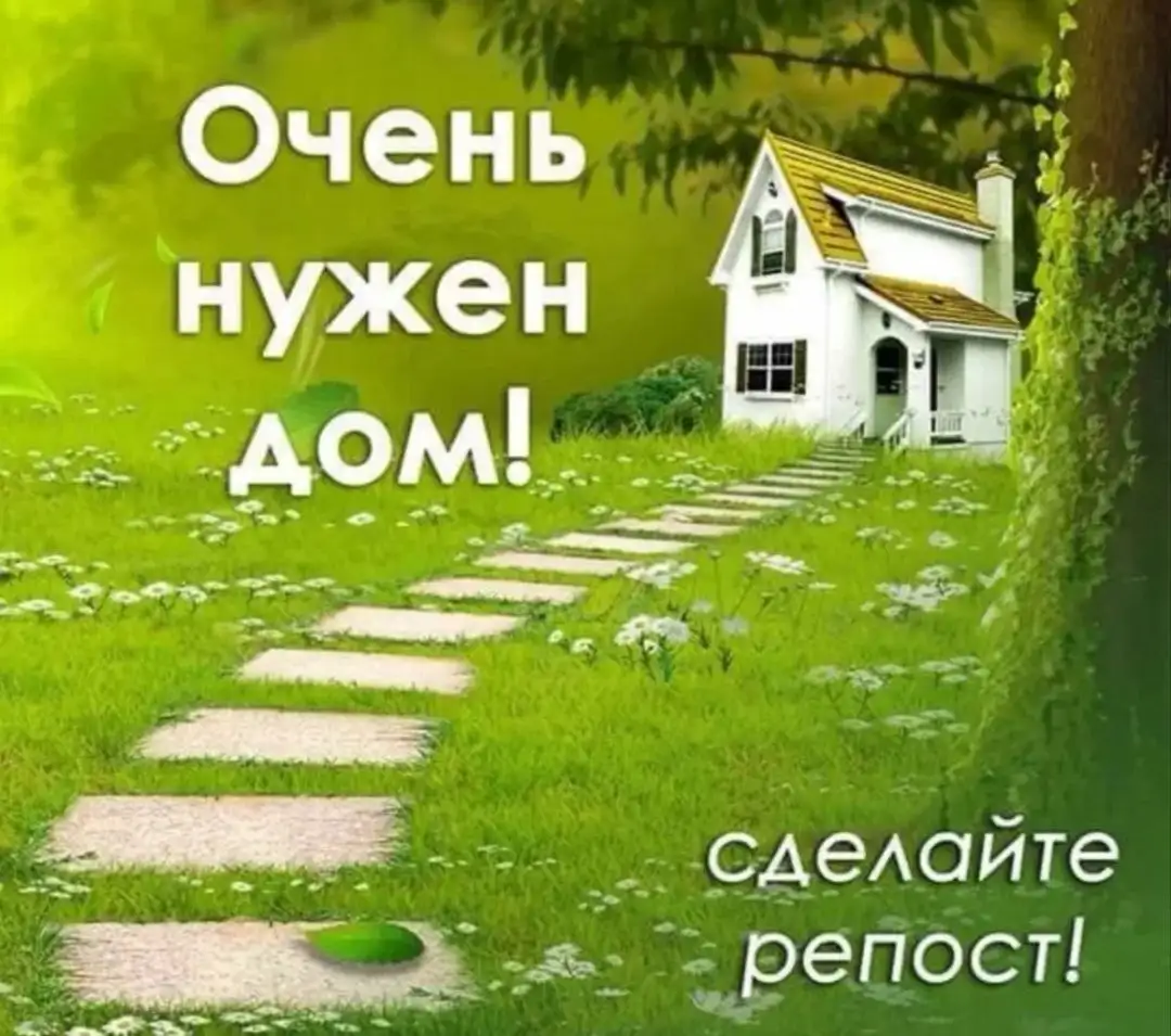 Отдам кошку и котят в добрые руки - Кошки (Животные) в Саратов