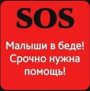 Малышам нужна помощь с клиникой - Животные в Саратов