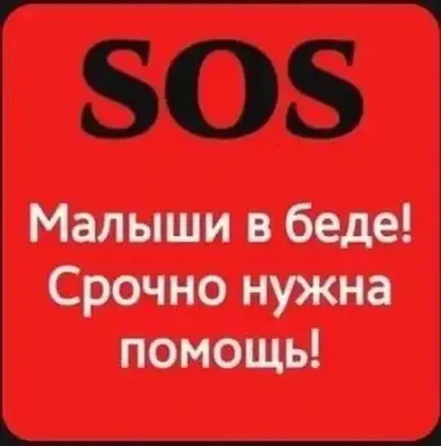 Малышам нужна помощь с клиникой - Поиск потерянных животных в Саратов