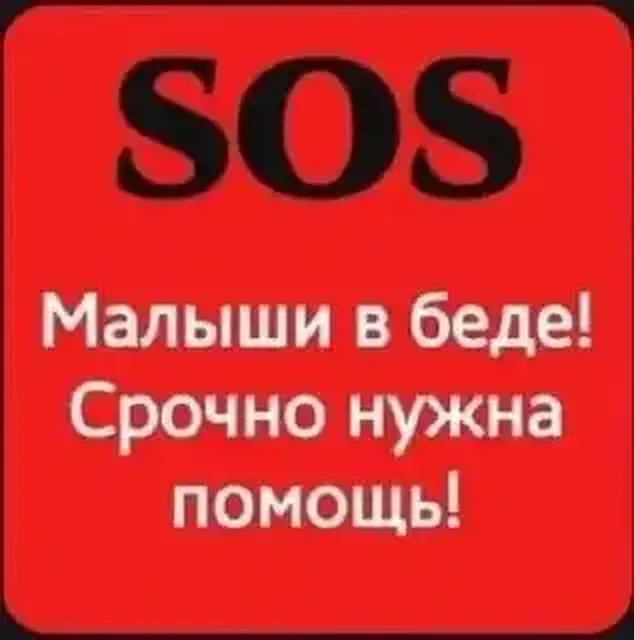 Срочный сбор на спасение троих котят - частное объявление в Саратов