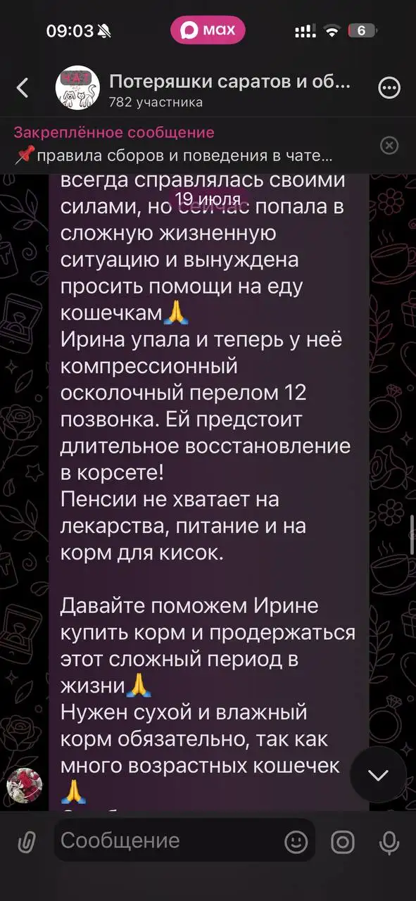 Потерянные или найденные животные - Питомцы (Животные) в Саратов