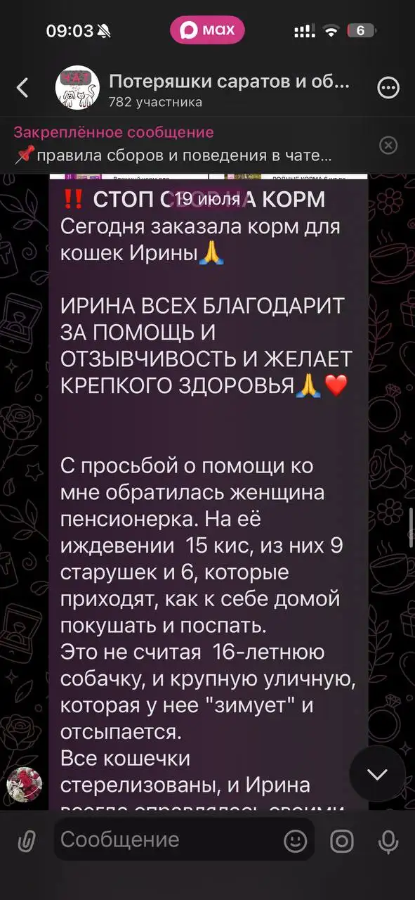 Потерянные или найденные животные - Питомцы (Животные) в Саратов