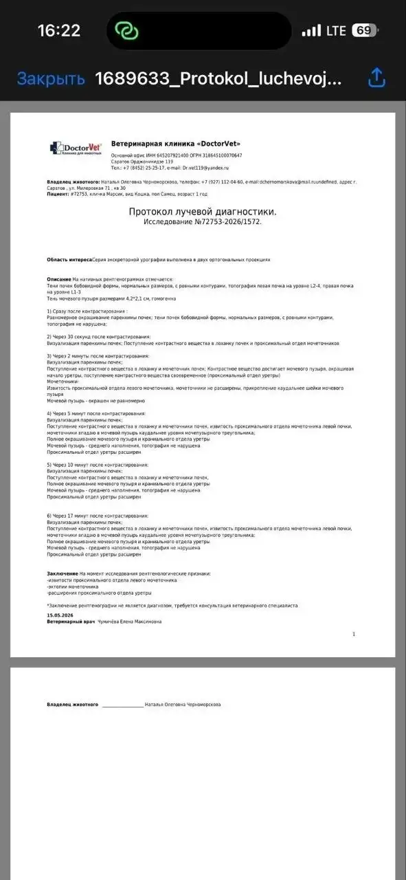 Экстренный сбор на операцию для кота Марсика - частное объявление в Саратов