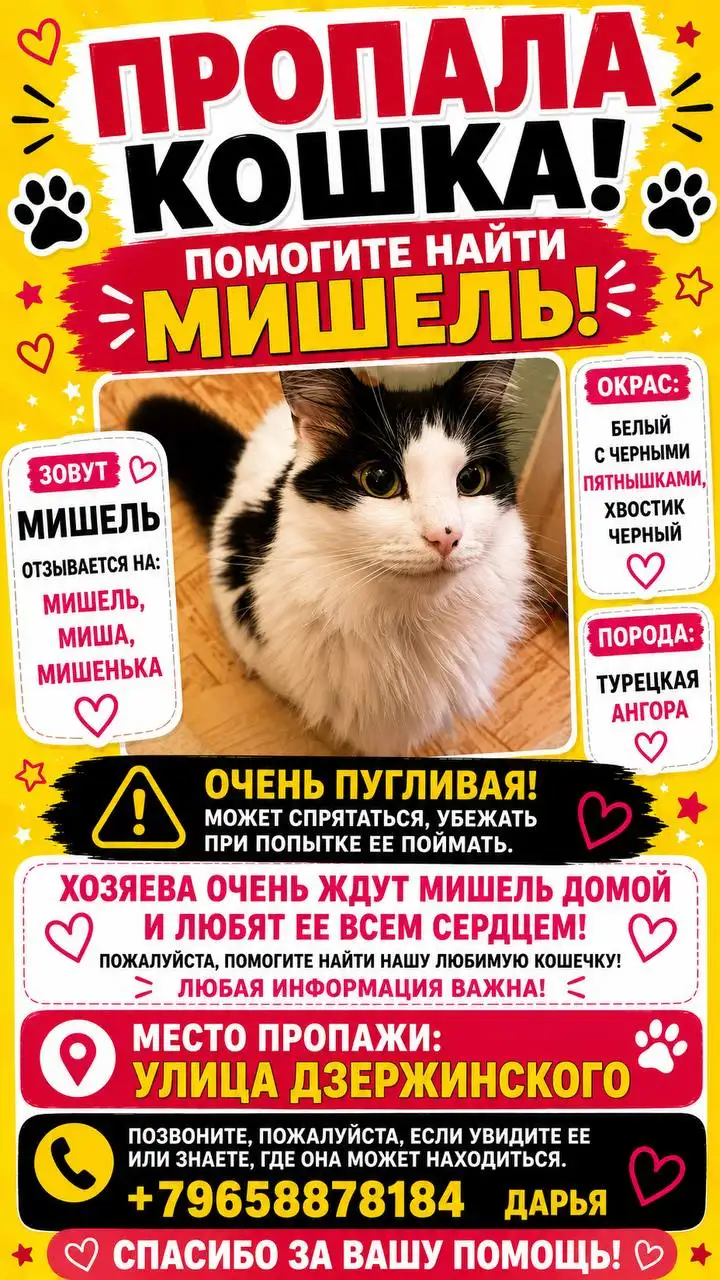 Потеряшка: кошка или собака в Саратове - Животные в Саратов