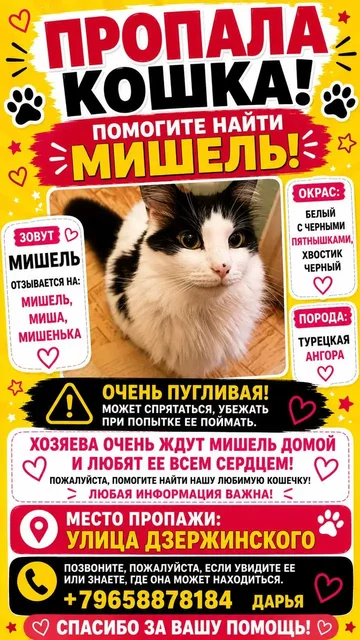 Потеряшка: кошка или собака в Саратове - Потеряшки и находки в Саратов