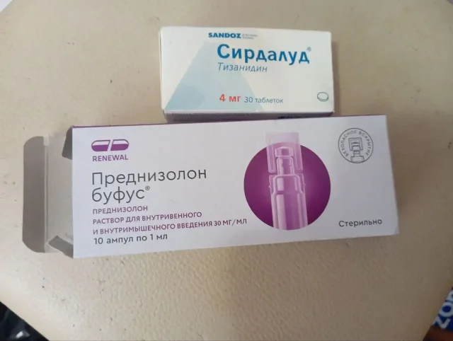 Потеряшка: кошка или собака - Потеряшки и находки в Саратов
