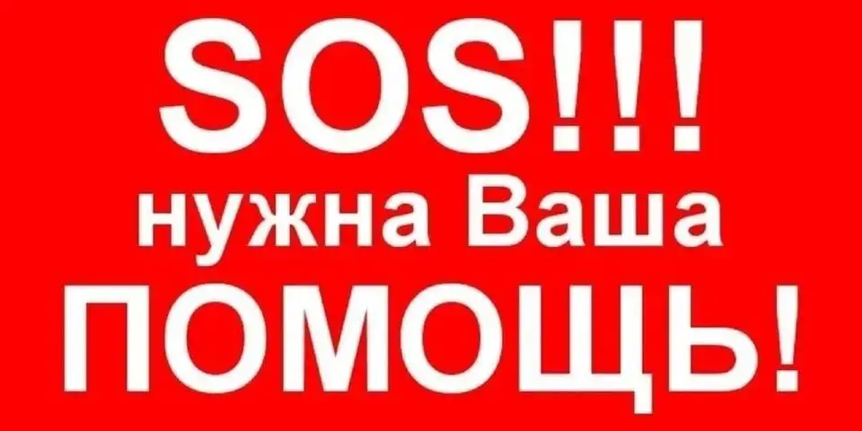 Срочно! Раненому щенку нужна помощь и передержка в Саратове - Животные в Саратов