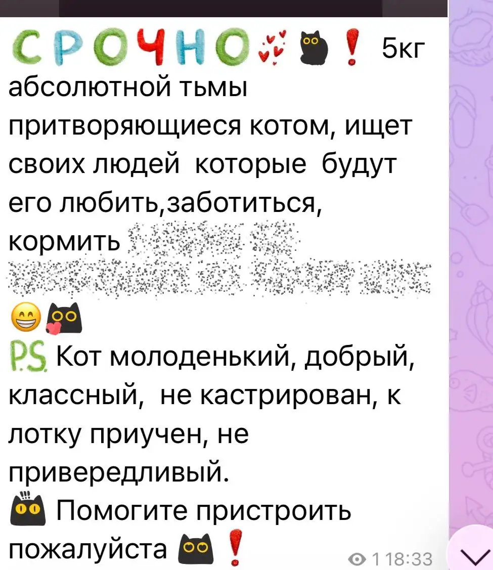 Потеряшки животных в Саратове - Потеряшки (Животные) в Саратов