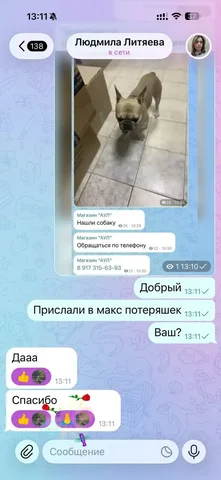 Нашли хозяйку кота/собаки - Крупный рогатый скот в Саратов