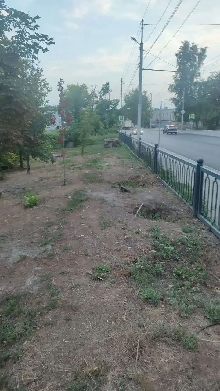 Помощь раненой птице - ворон рядом с парком - Животные в Саратов