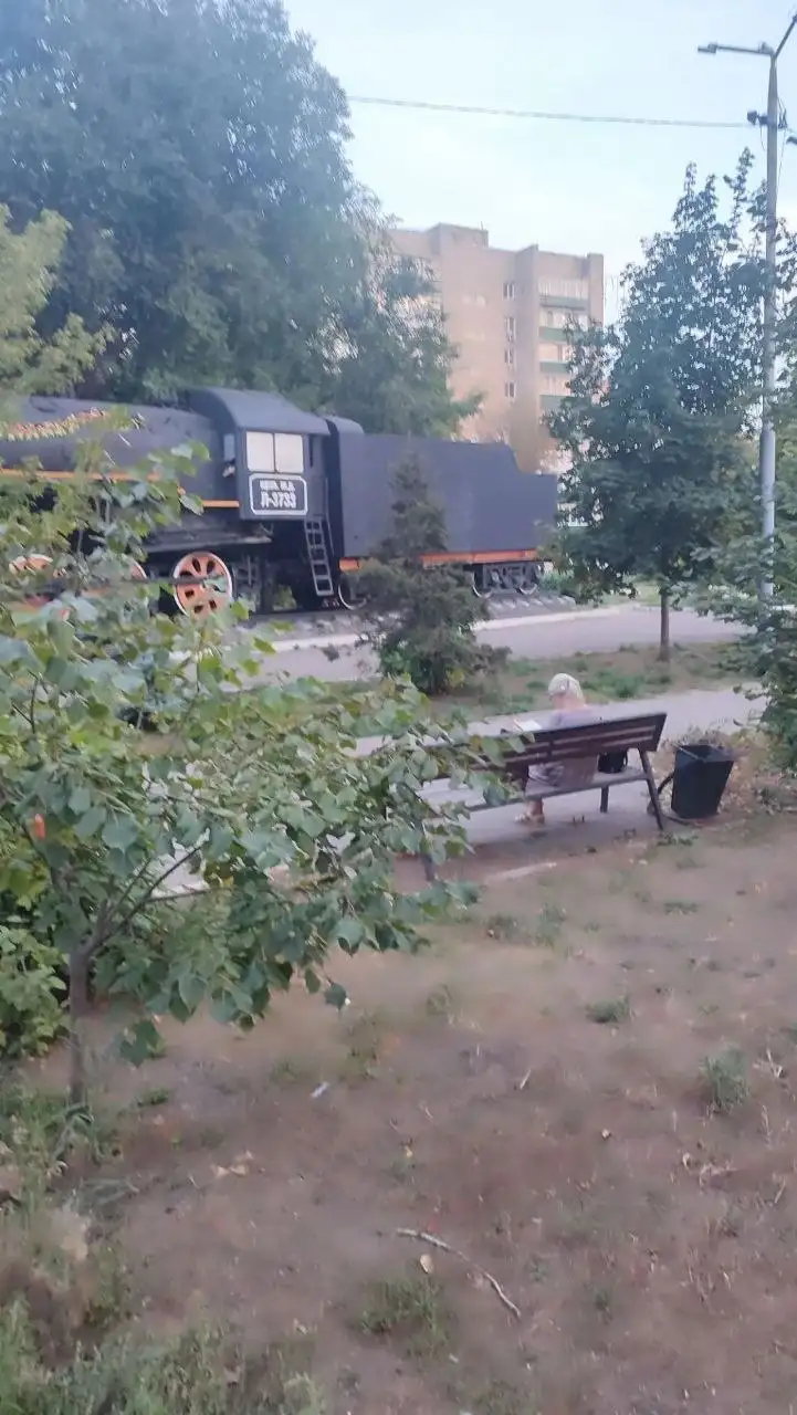 Помощь раненой птице - ворон рядом с парком - Животные в Саратов