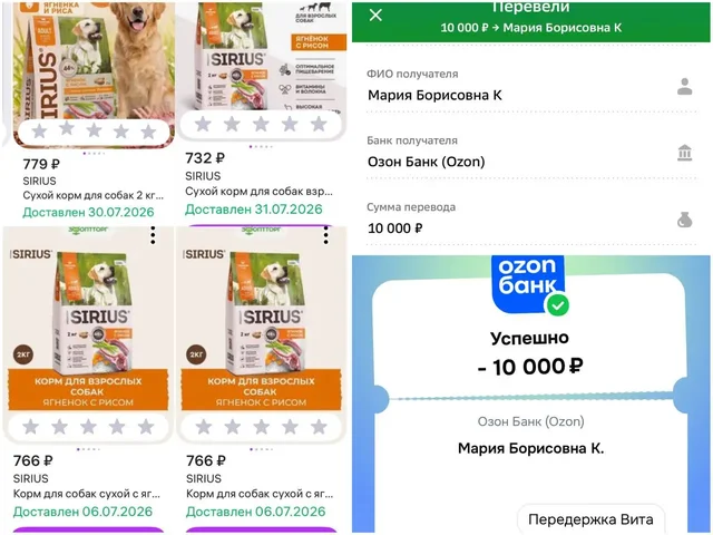 Сбор средств на лечение и содержание собаки Виты - Животные в Саратов