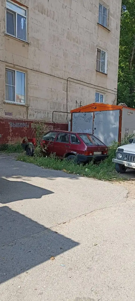 Срочная помощь котику в Саратове - Животные в Саратов