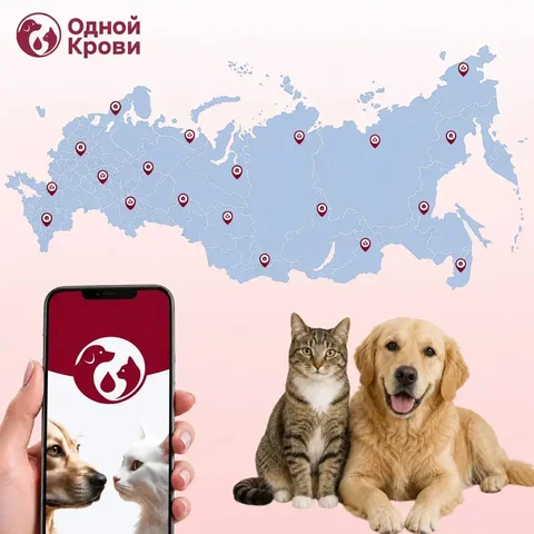Портал для поиска доноров крови для животных в России - eSIM в Неизвестно
