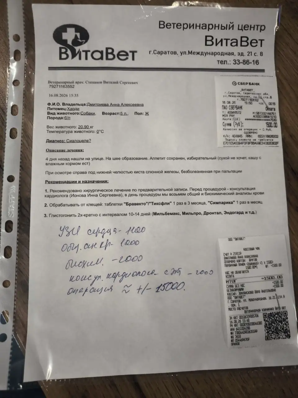 Помощь Харти на операцию - Благотворительность (Животные) в Саратов
